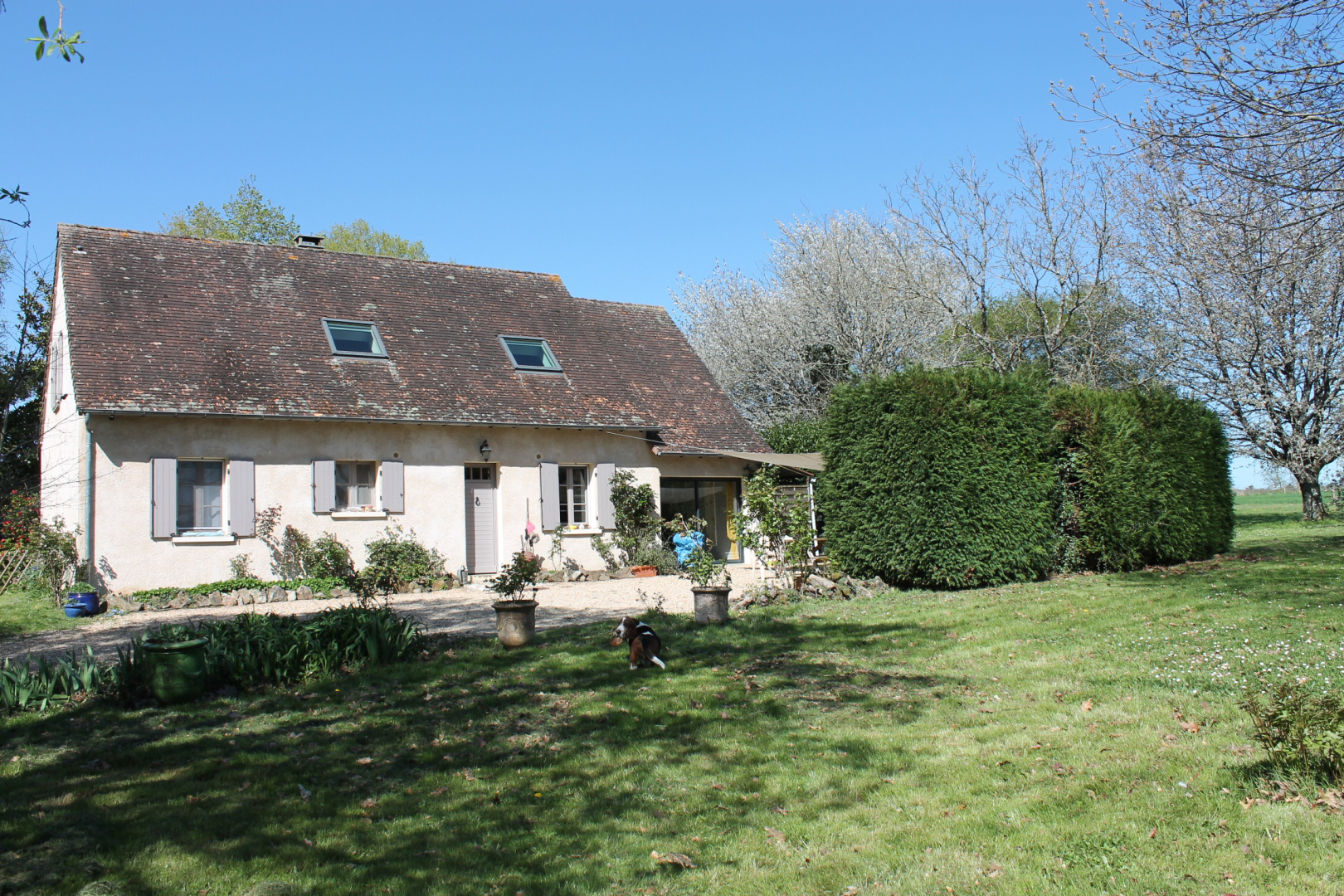 property